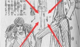 断腿青雉爆料视频,背后惊人真相曝光