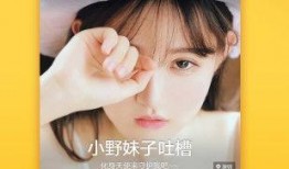 燕子直播爆料视频下载网站,独家下载网站大揭秘